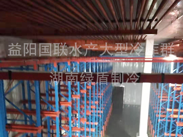 大型冷库
