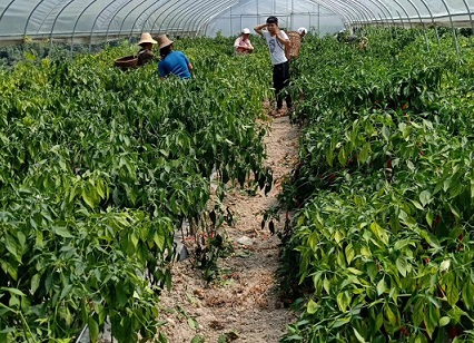 节能冷库专家,长沙冷库,冷库安装,保鲜库安装,冷库价格