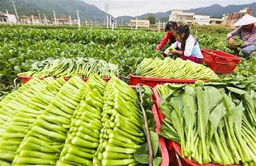 节能冷库专家,长沙冷库,冷库安装,保鲜库安装,冷库价格